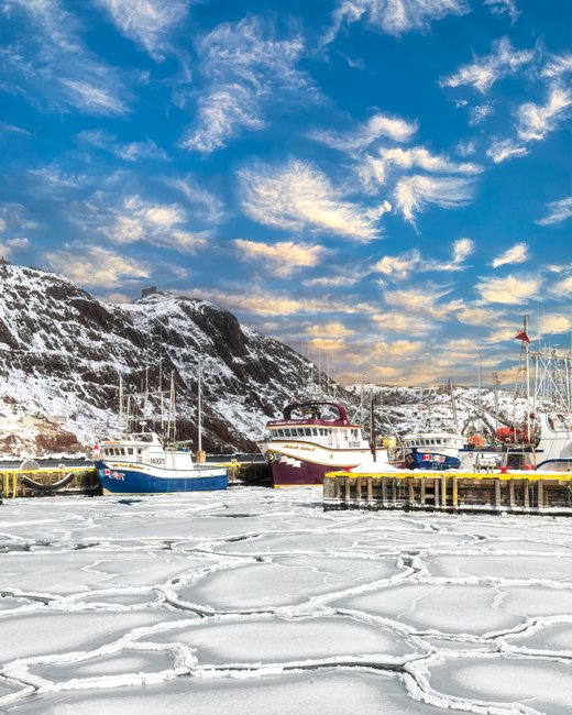 Southside Ice - Newfoundland art print