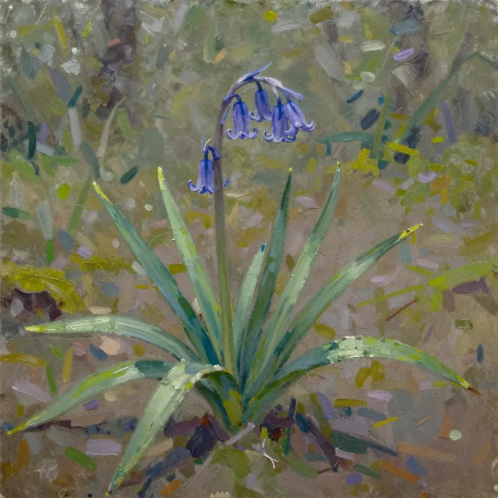 Bluebell Impasto