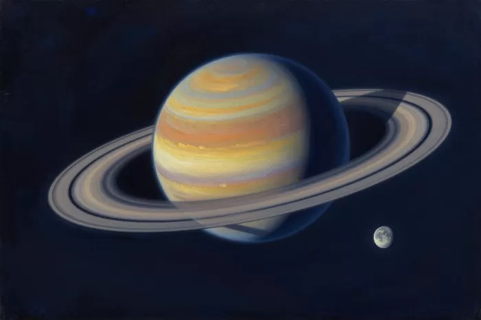 Ringed Wonder