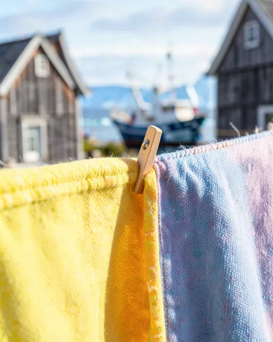 Clothesline Peg