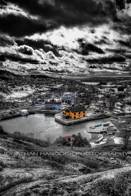 From The Trail BW - Newfoundland art print