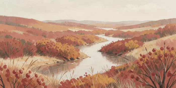 Cranberry Bogs