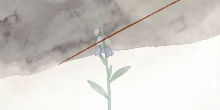 Sage Slash