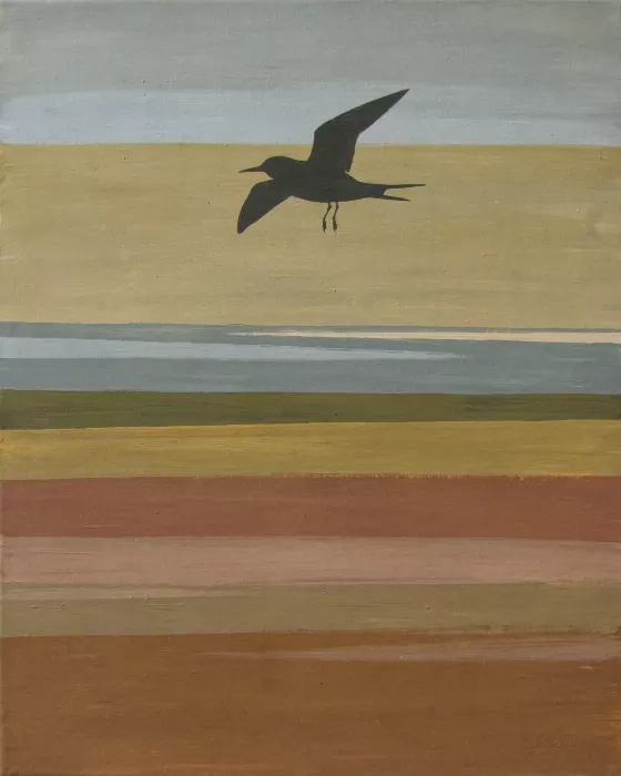 Tern Horizon