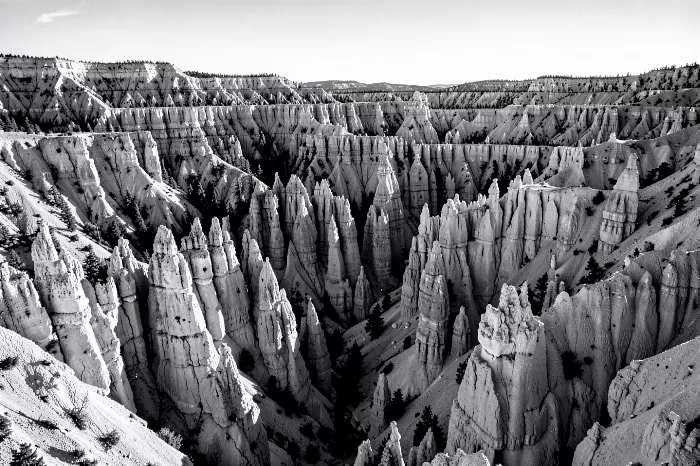 Hoodoo Dawn