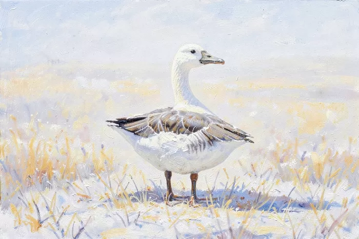 Pale Field