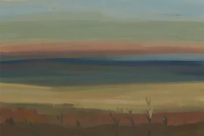 Olive Fields