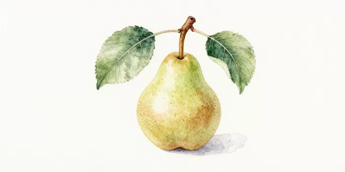 Orchard Pear