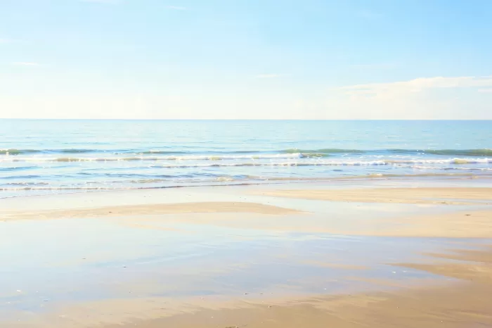 Delaware Shores