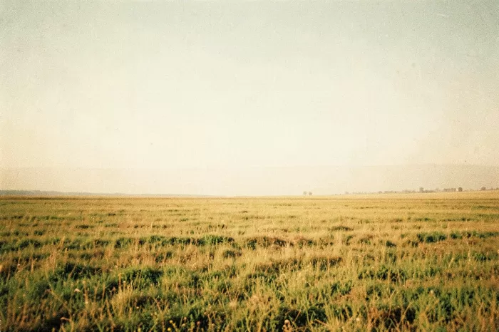 Manitoba Haze