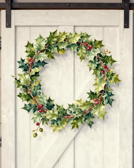 Barn Holly