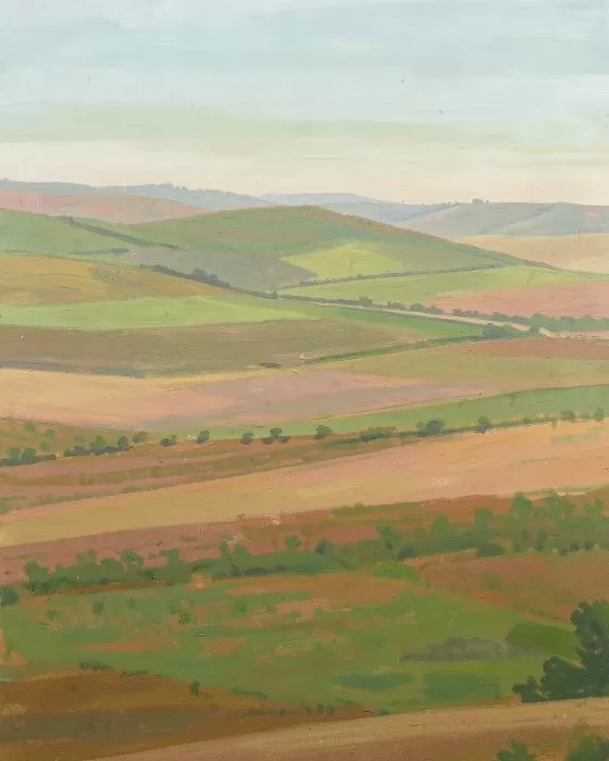 Napa Haze