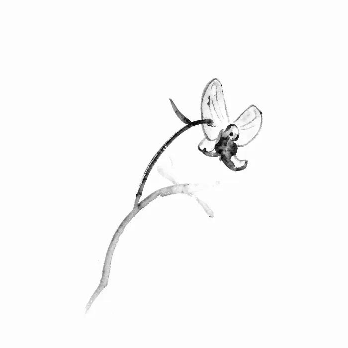 Single Stem