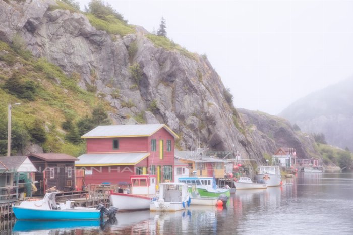 In The Fog Quidi Vidi - Newfoundland art print