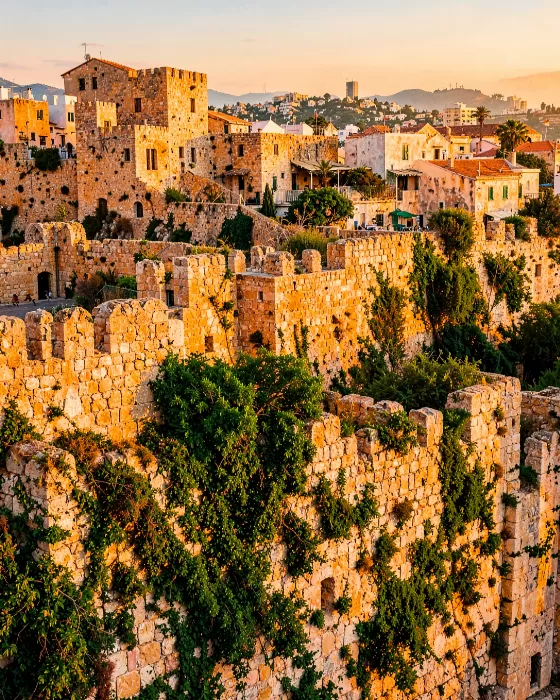 Amber Fortress