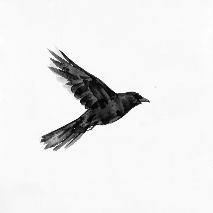 Crow Ascends