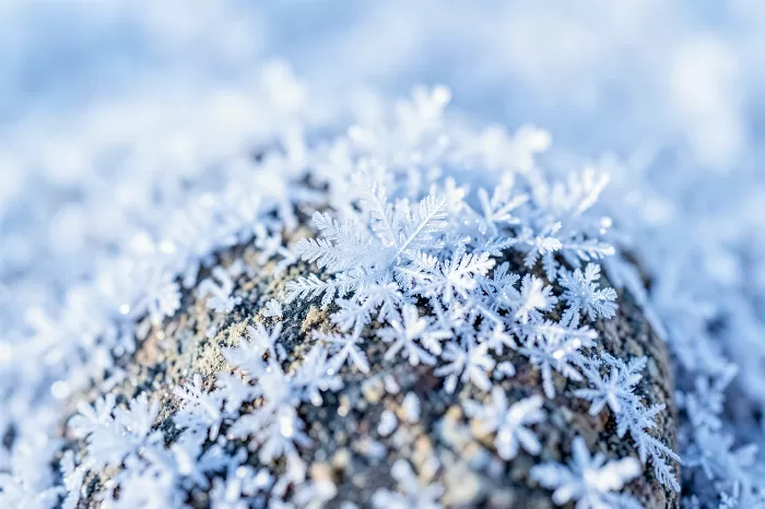Frozen Granite