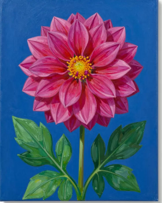 Dahlia Blue
