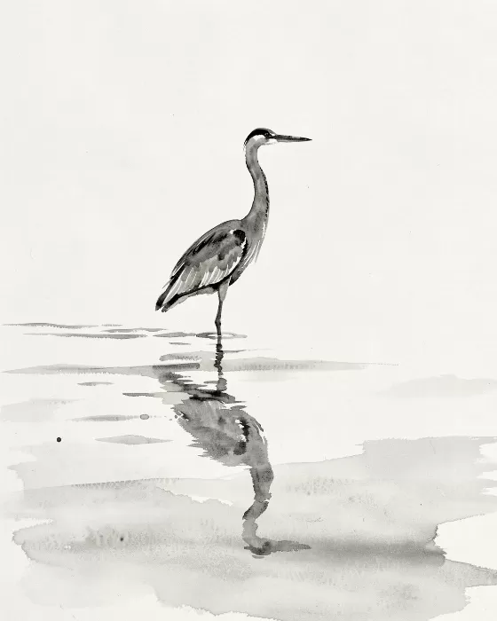 Heron Wash