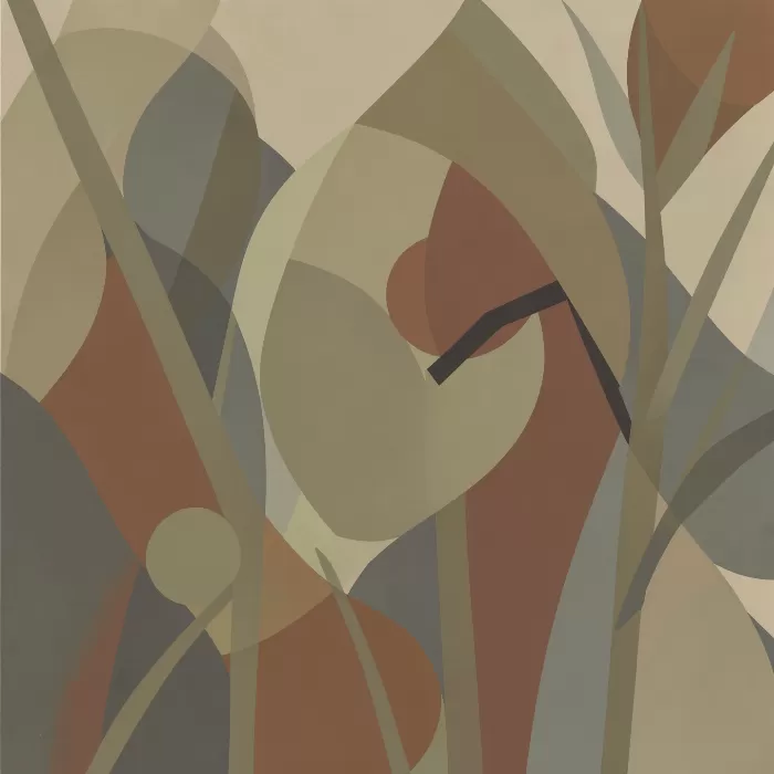 Marsh Curve