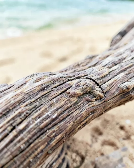 Driftwood Grain