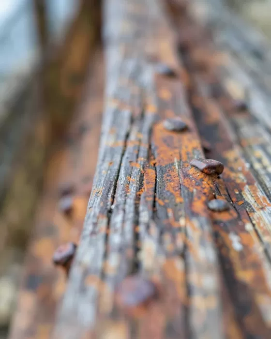 Rust Rivets