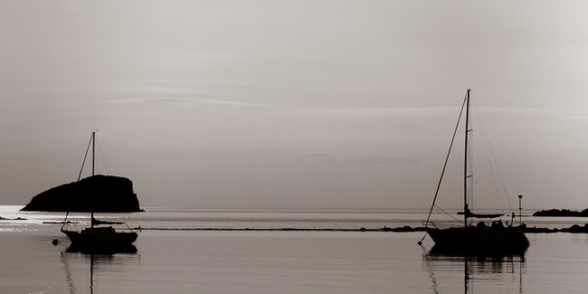 Lingering - Newfoundland art print