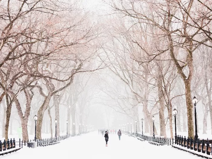 A snowing winter day at Central Park