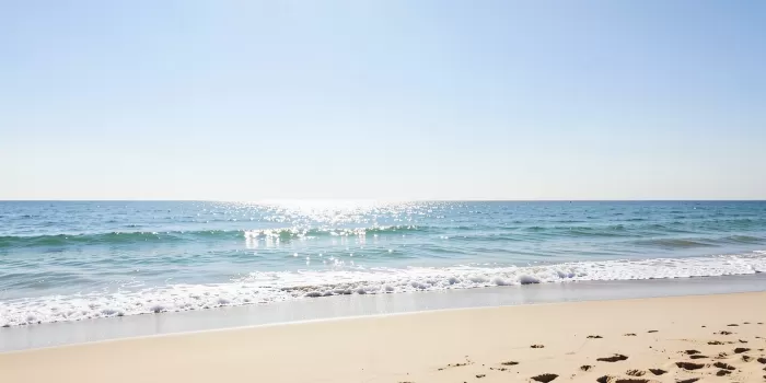 Luminous Shore