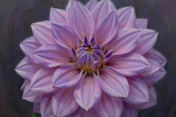 Mauve Dahlia