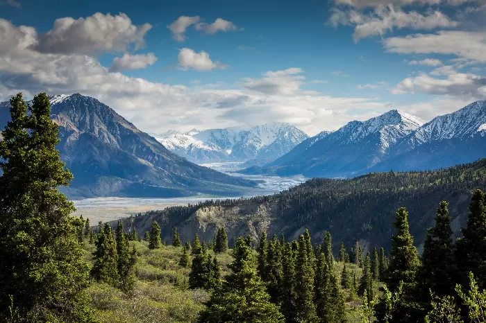 Serene Yukon Vistas