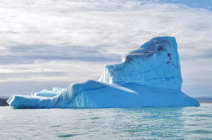 Frozen Majesty Unleashed