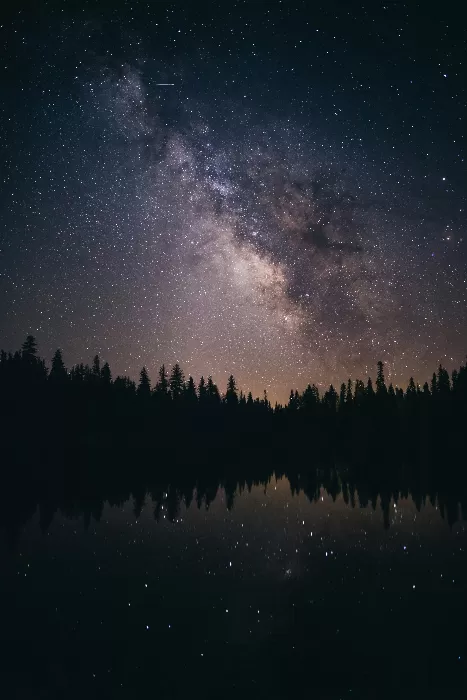 Majestic Night Skies