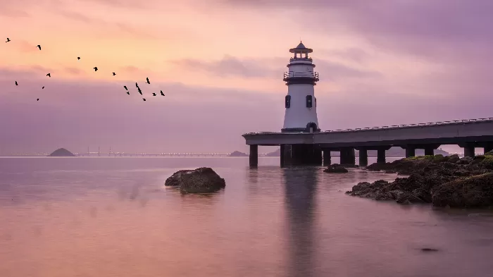 Zhuhais Golden Glow
