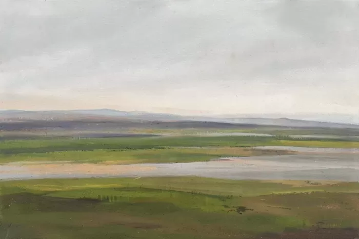 Iceland Plain