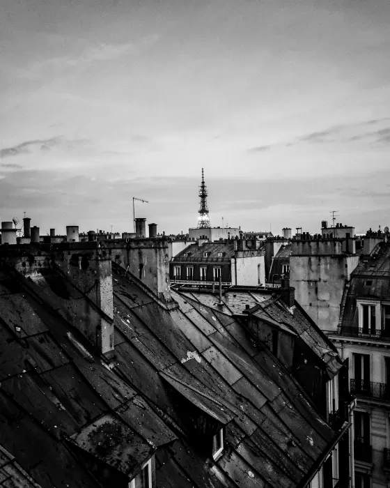 Dusk Rooftops