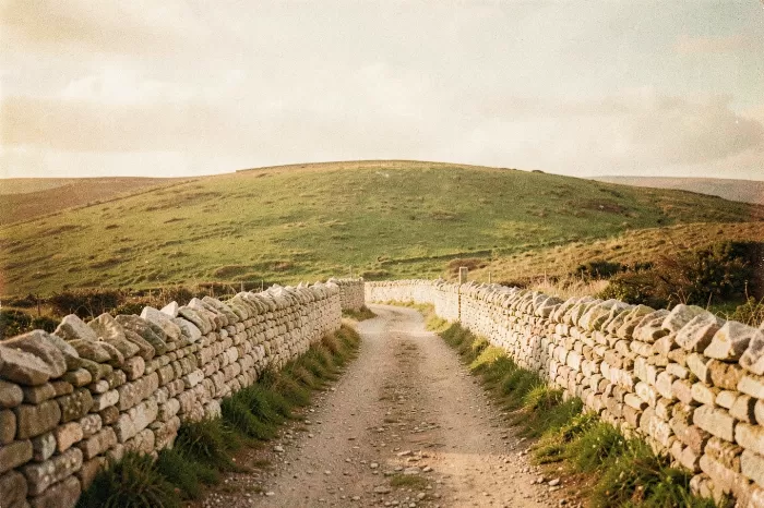 Dales Lane