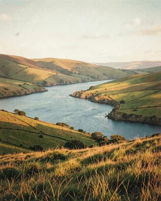Otago Farmland