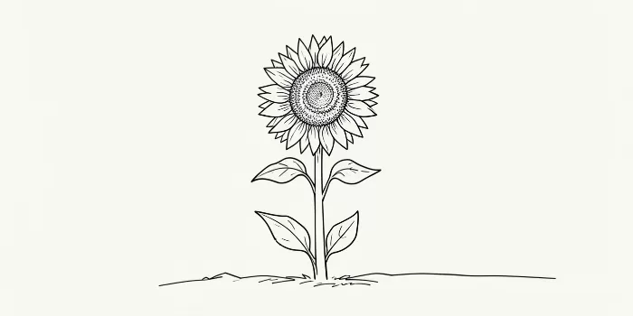 Sunflower Stroke
