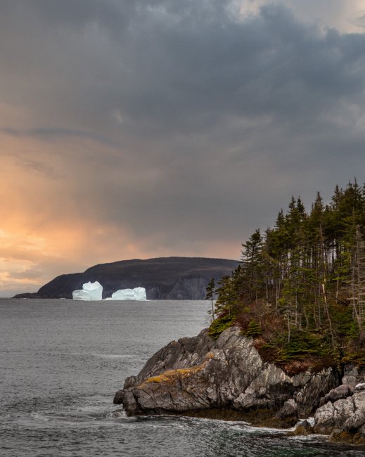 Admirals Cove Iceberg - Newfoundland art print