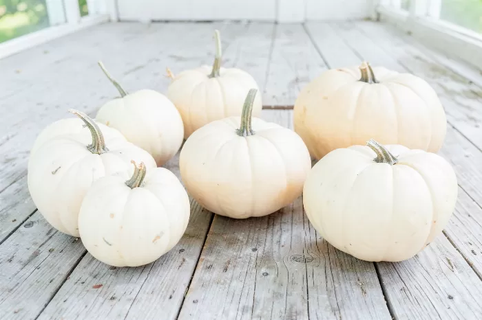 Heirloom Harvest