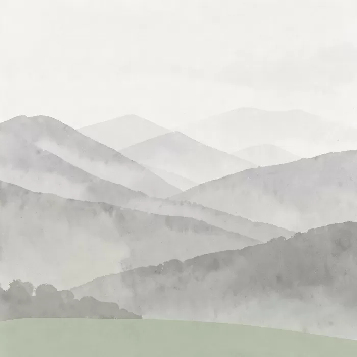 Fog Veiled