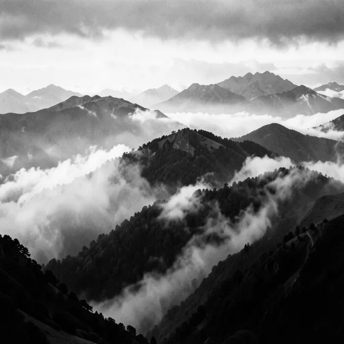 Silver Peaks