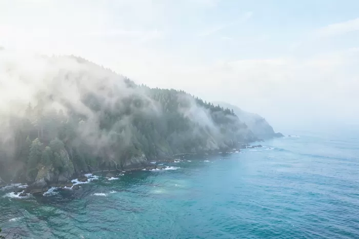 Foggy Headland