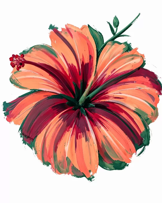 Hibiscus Sweep