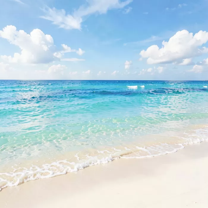 Pale Beach
