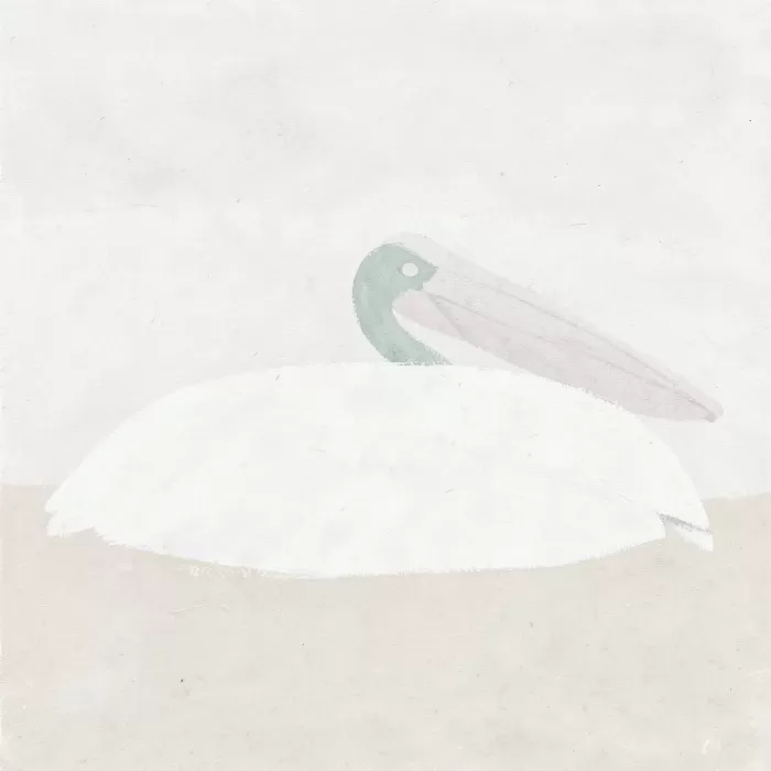 Pelican Wash