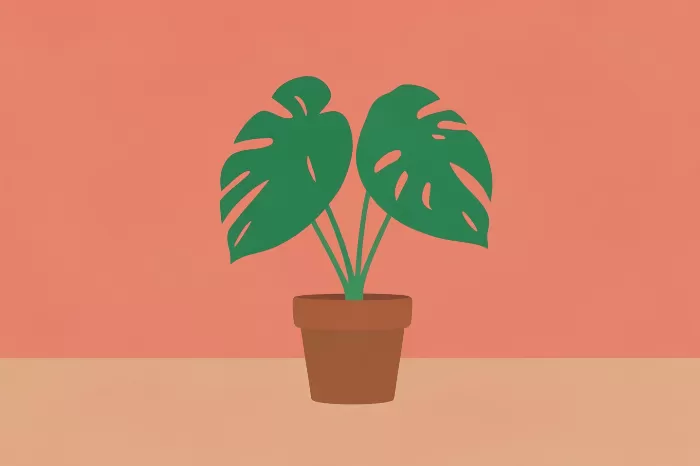 Monstera Moderne