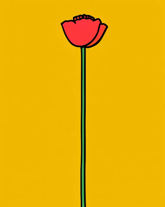 Solo Poppy