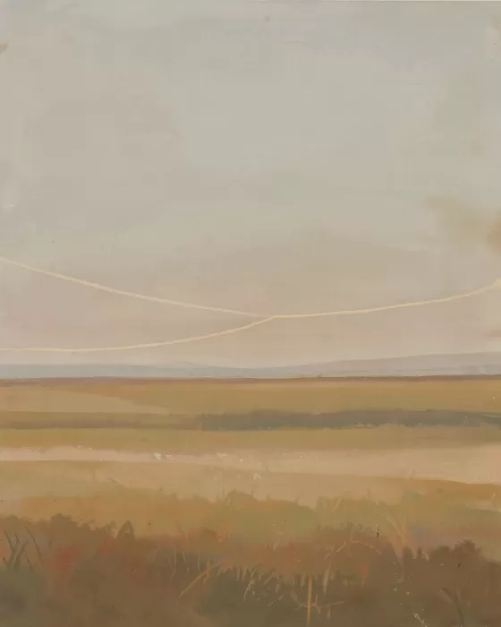 Clothesline Horizon
